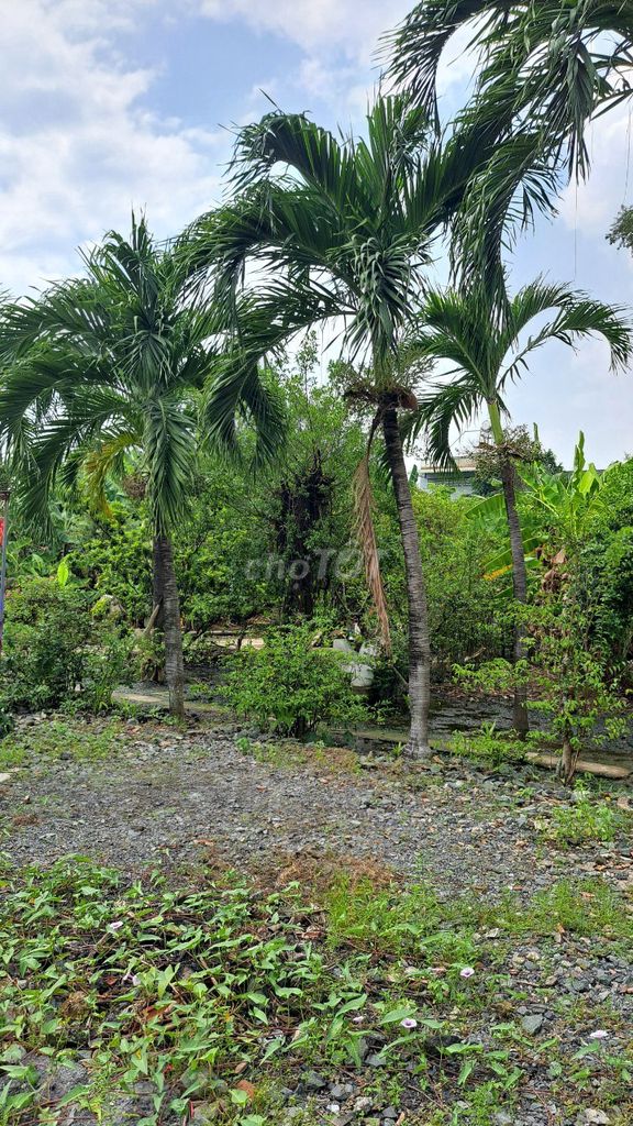 The motel has a yard of 50, Bình Chánh, bordering District 8 Special Security 24 hours.