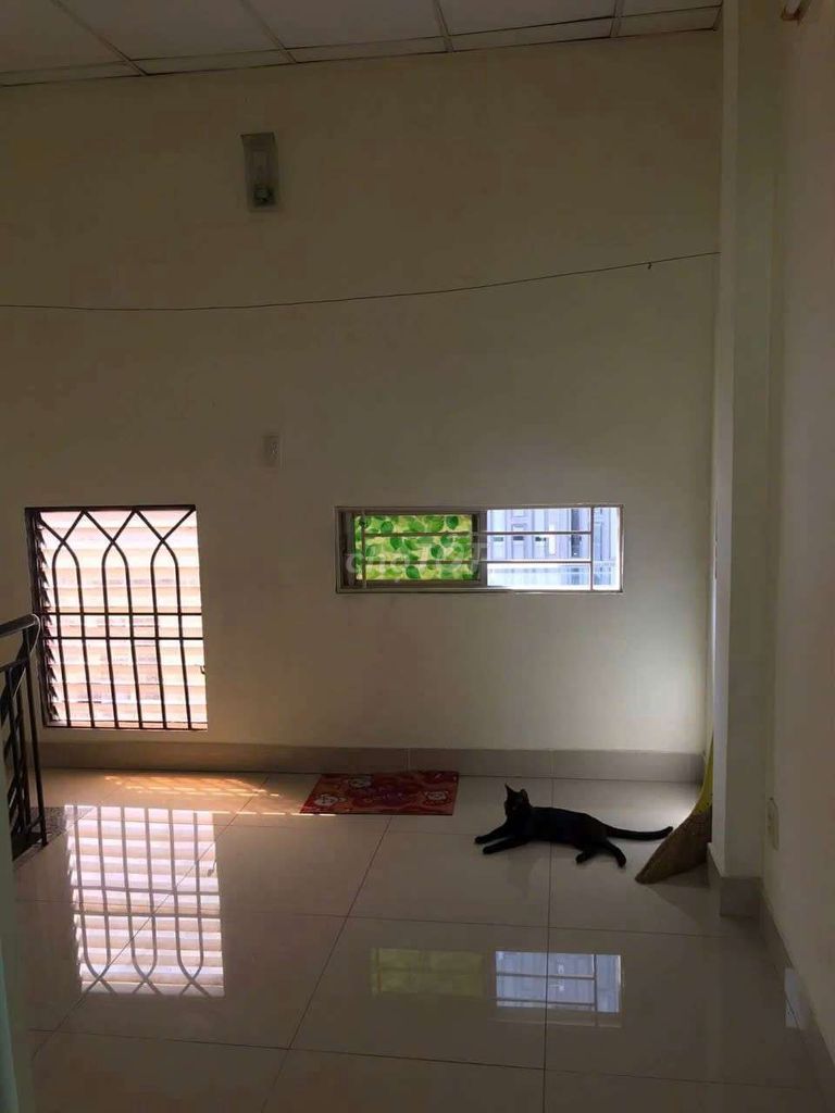 for rent