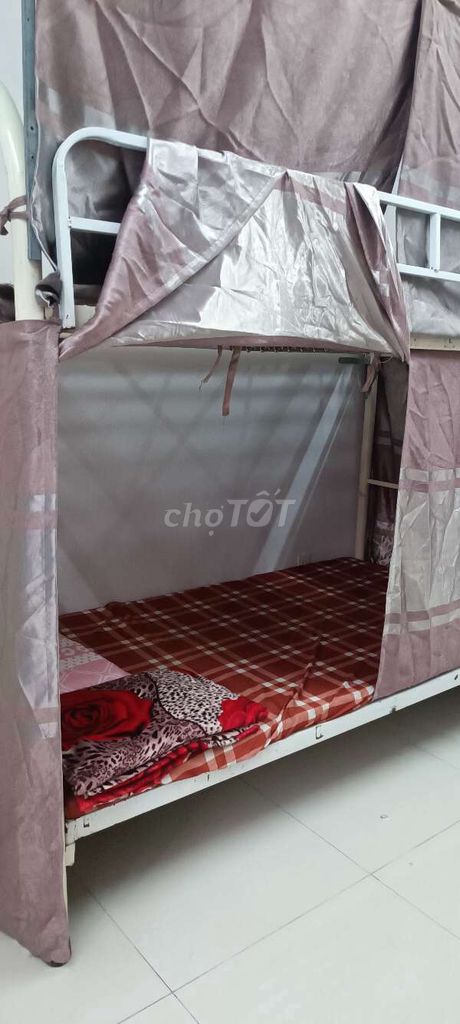 In the bed transplant, 1 million/1/Tg, the whole bag of water, the Cold Machine, the Jacuzzi,