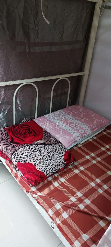 In the bed transplant, 1 million/1/Tg, the whole bag of water, the Cold Machine, the Jacuzzi,