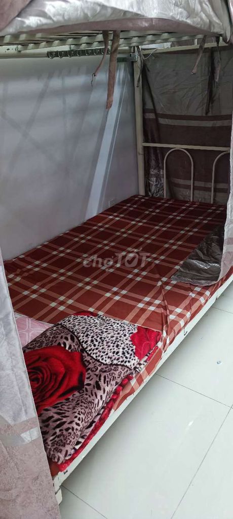 In the bed transplant, 1 million/1/Tg, the whole bag of water, the Cold Machine, the Jacuzzi,