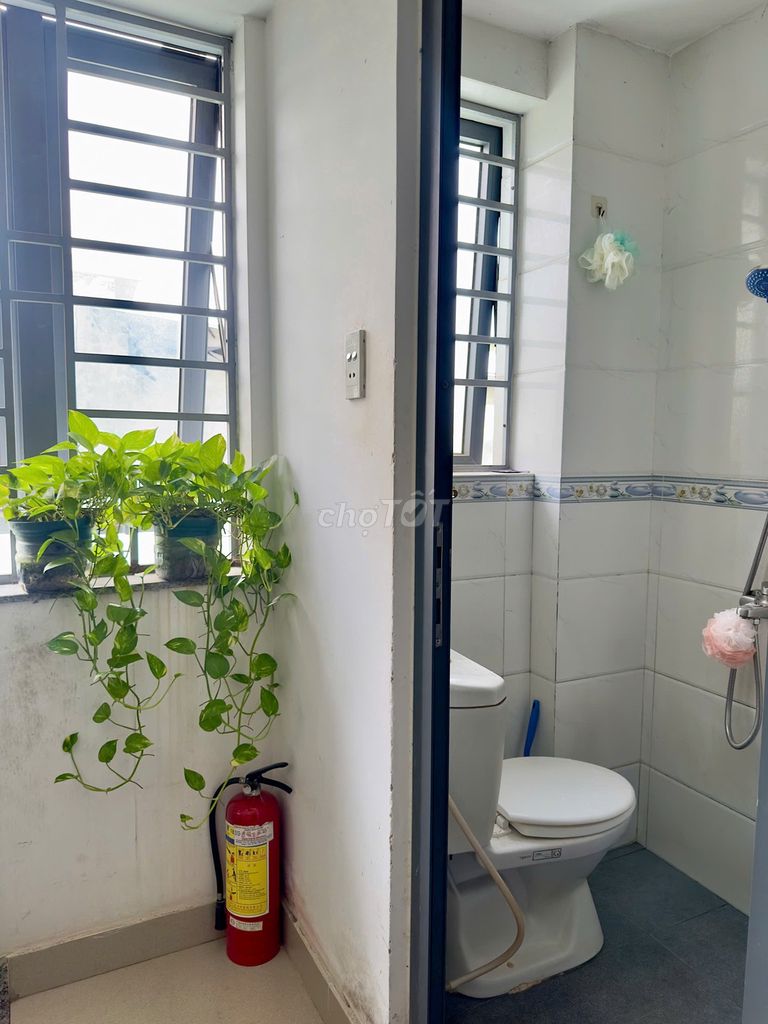 The beautiful, civilized hostels of each member should be very consistent.