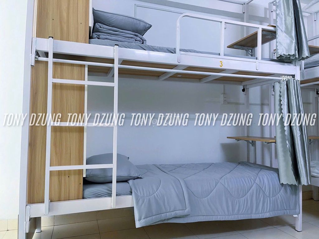 Open up the new male/girl dorm near the university.