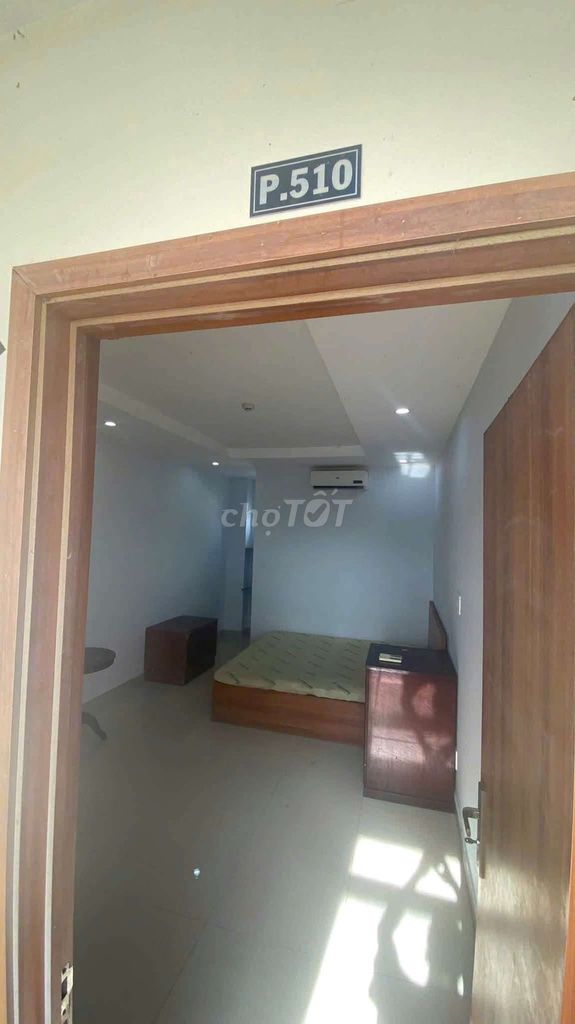 The studio is cheap, the Victory School, the Love of Money, Đông Hưng Thuận