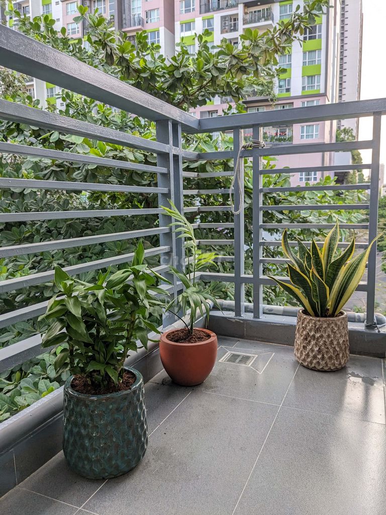 We need men at 2.5 million a month. Nice room with balconies.