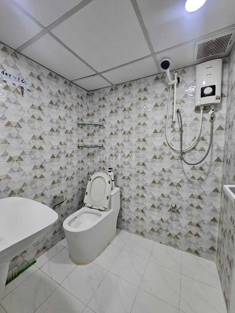 The owner rented a cool room, packed it, packed it right in.