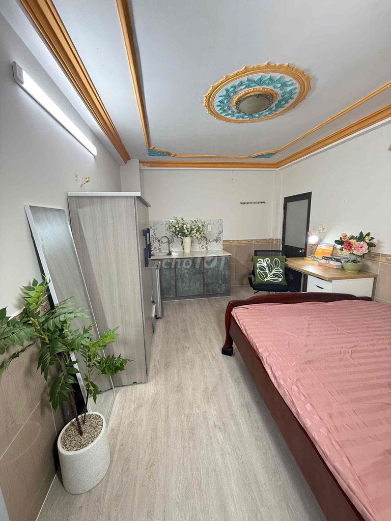 Nguyễn Oanh- Full low-end hotel room, for Pet. From 2.6 million a month.