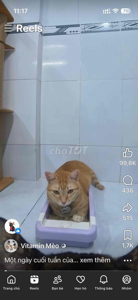 rent required