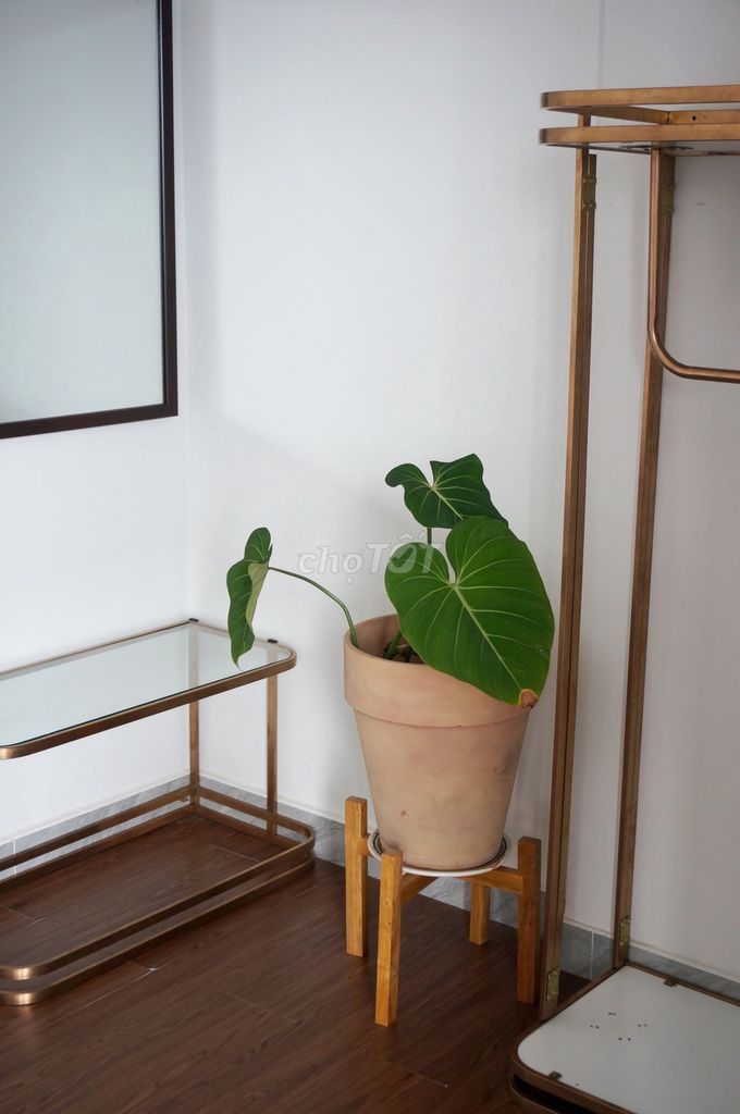 Rent studio full interior - super-wide balcony district 3