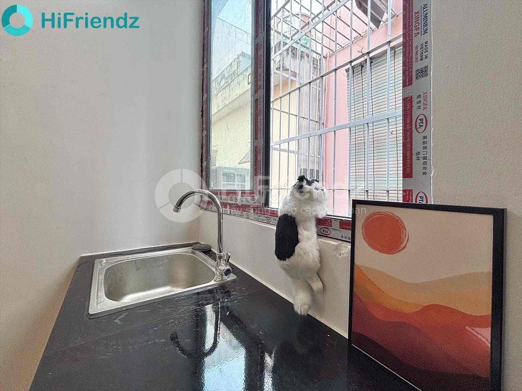 Rent the full-intem studio near Nguyễn Thị Thập lotte