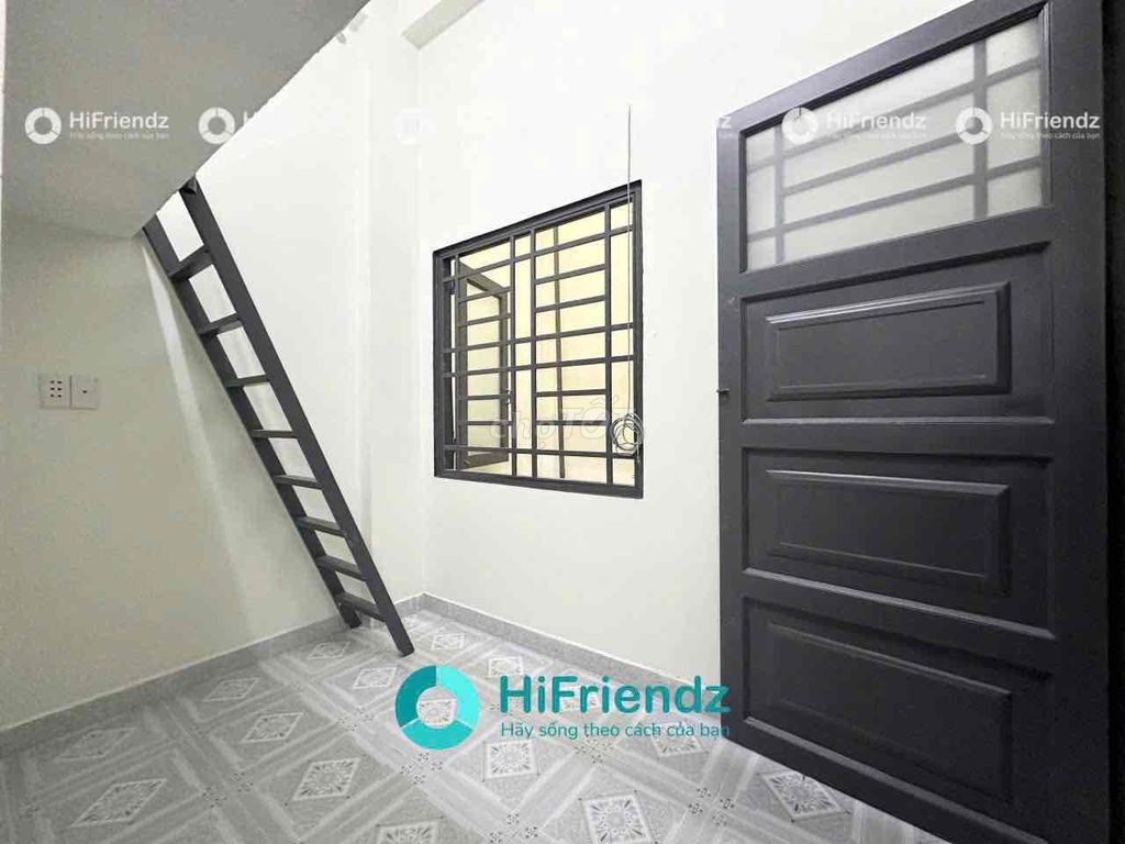 Renting room for Cold Machines in Sen Queen-Dh Constitution, Tân Phú
