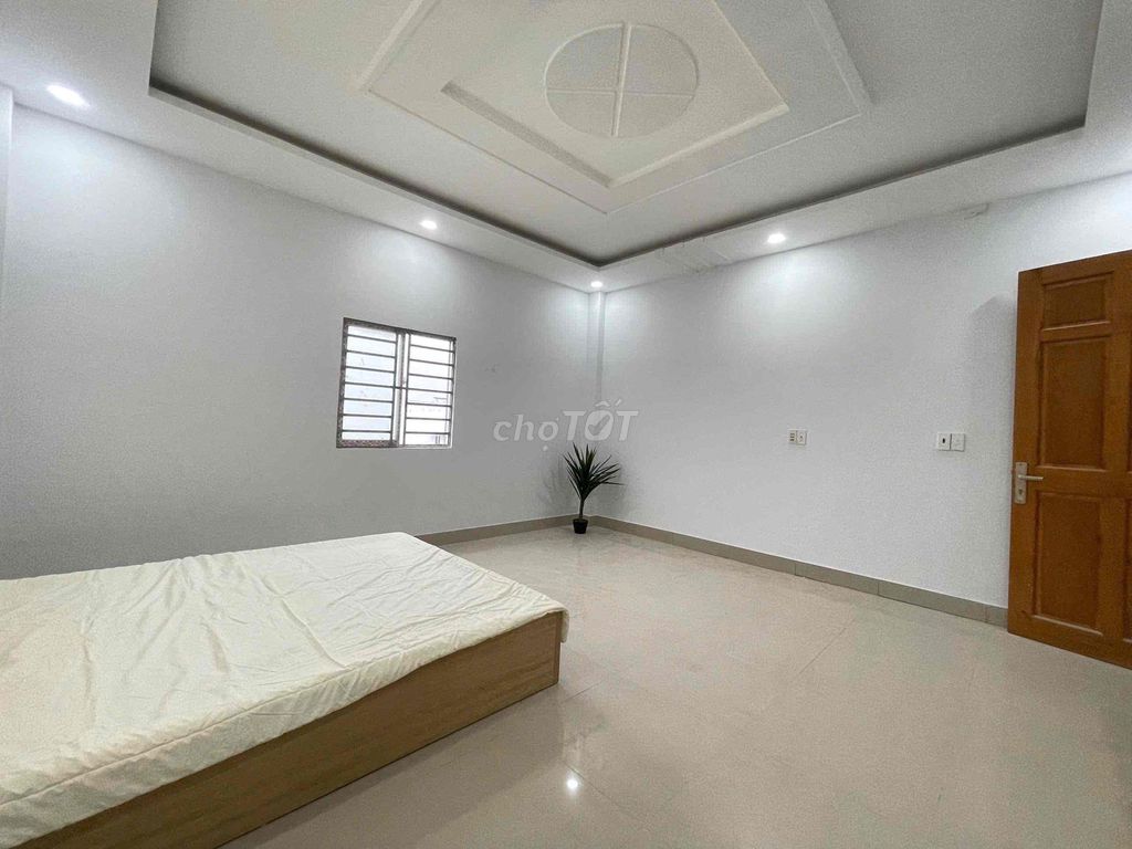 We'll rent a room 30 meters wide, that's cheap.