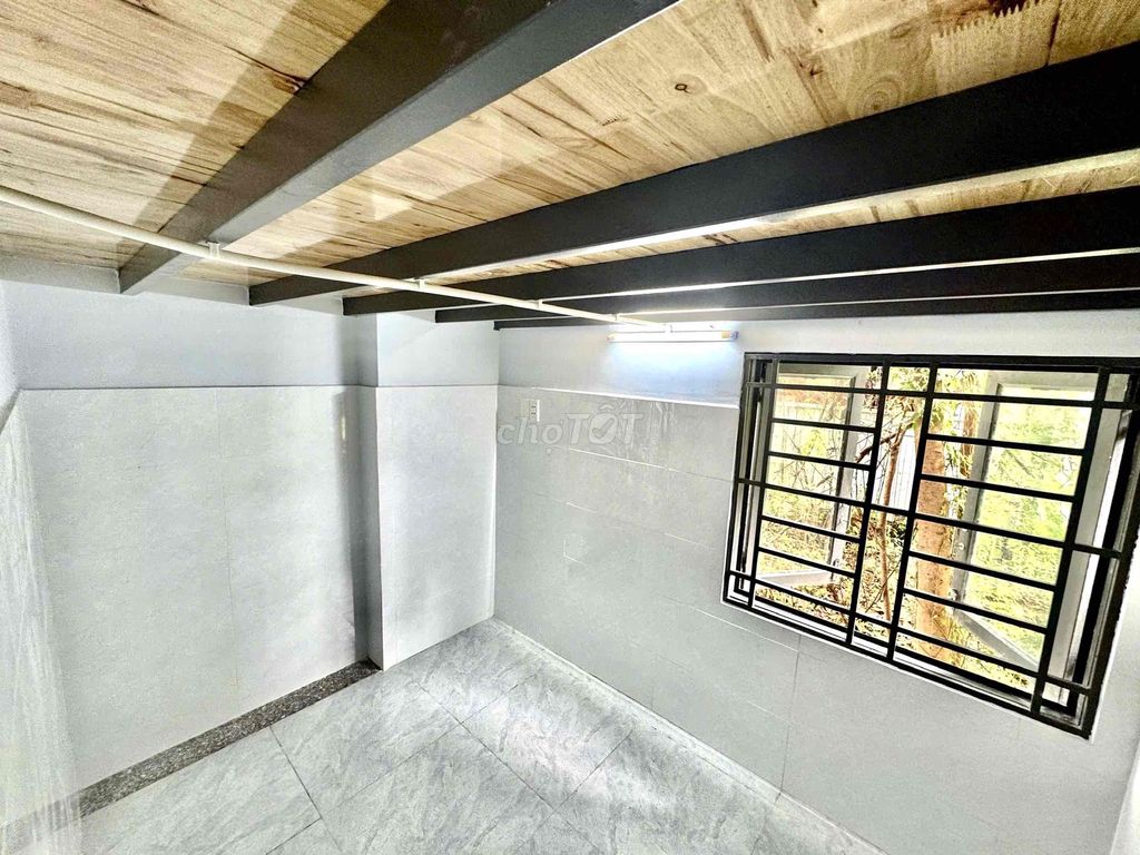 The big room near the university will become