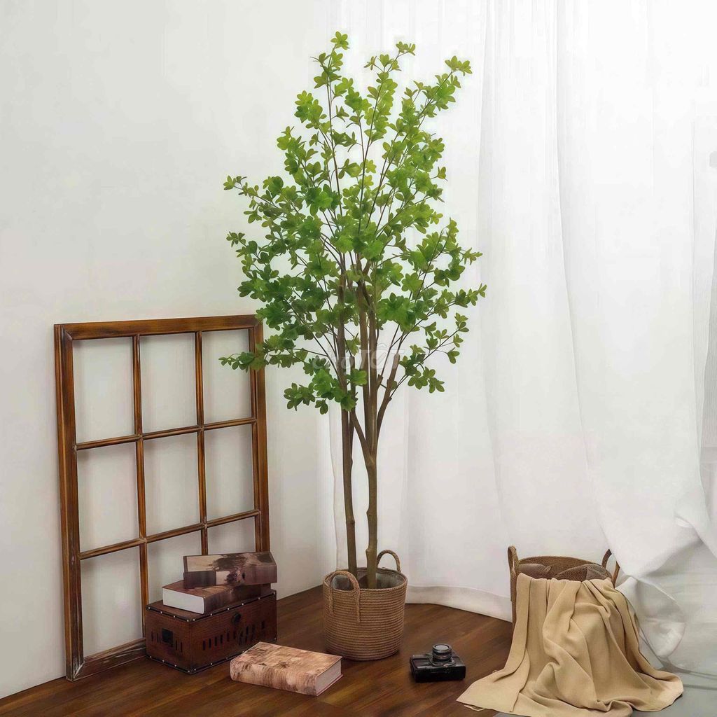The window room. - Gò Vấp is still room.