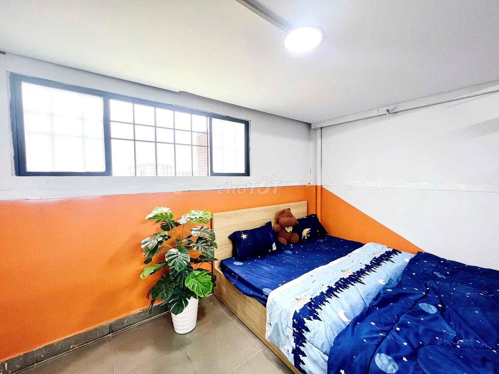 Supercreasure near company 3 million and 5 - full interior commitment to the real room.