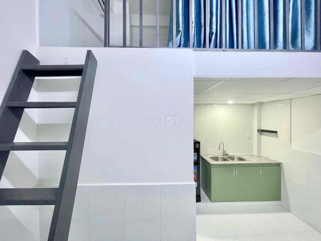 Dumplex sky windows