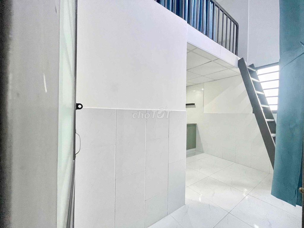 Dumplex sky windows