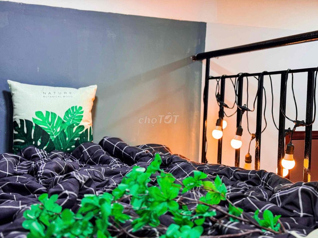 [ Rents] The upper room is with the kitchen & balcony/ cool blue window - the emperor