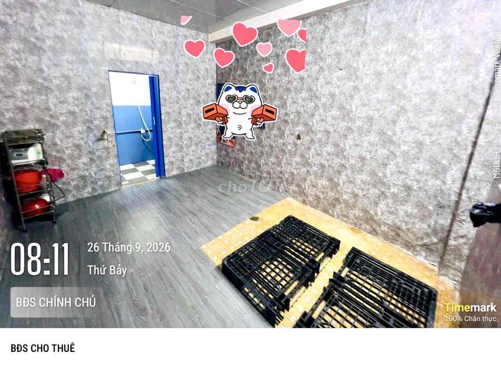 Cool, cool ground room. Trần Đại Nghĩa, An Lạc, Bình Tân