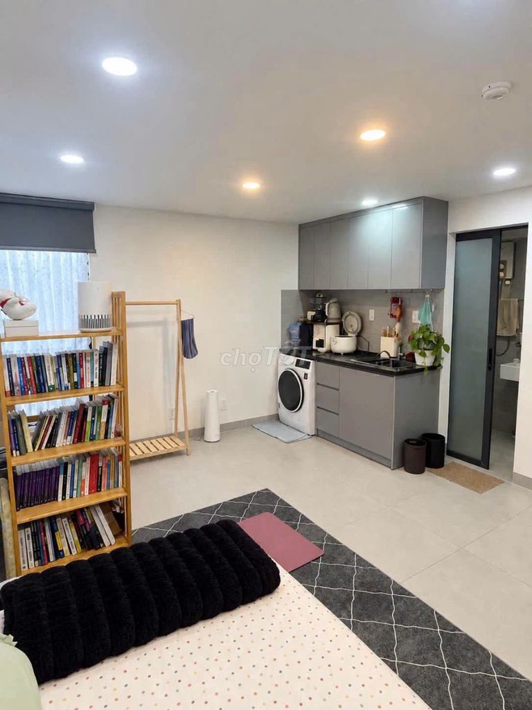 Super-Gladdy studio - full interior - sunlight window - 10