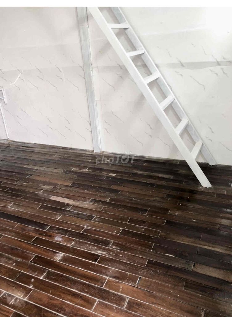 Rent a new Dương Đình Cúc, Tân Kiên