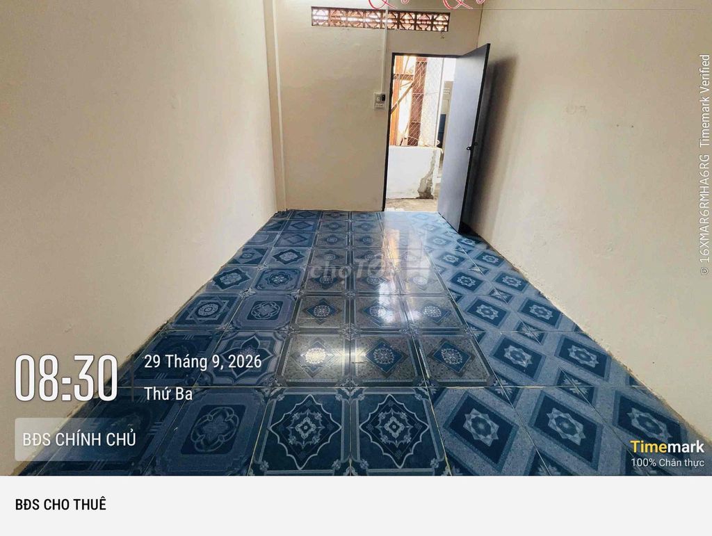 Move in, move in. Trần Đại Nghĩa.