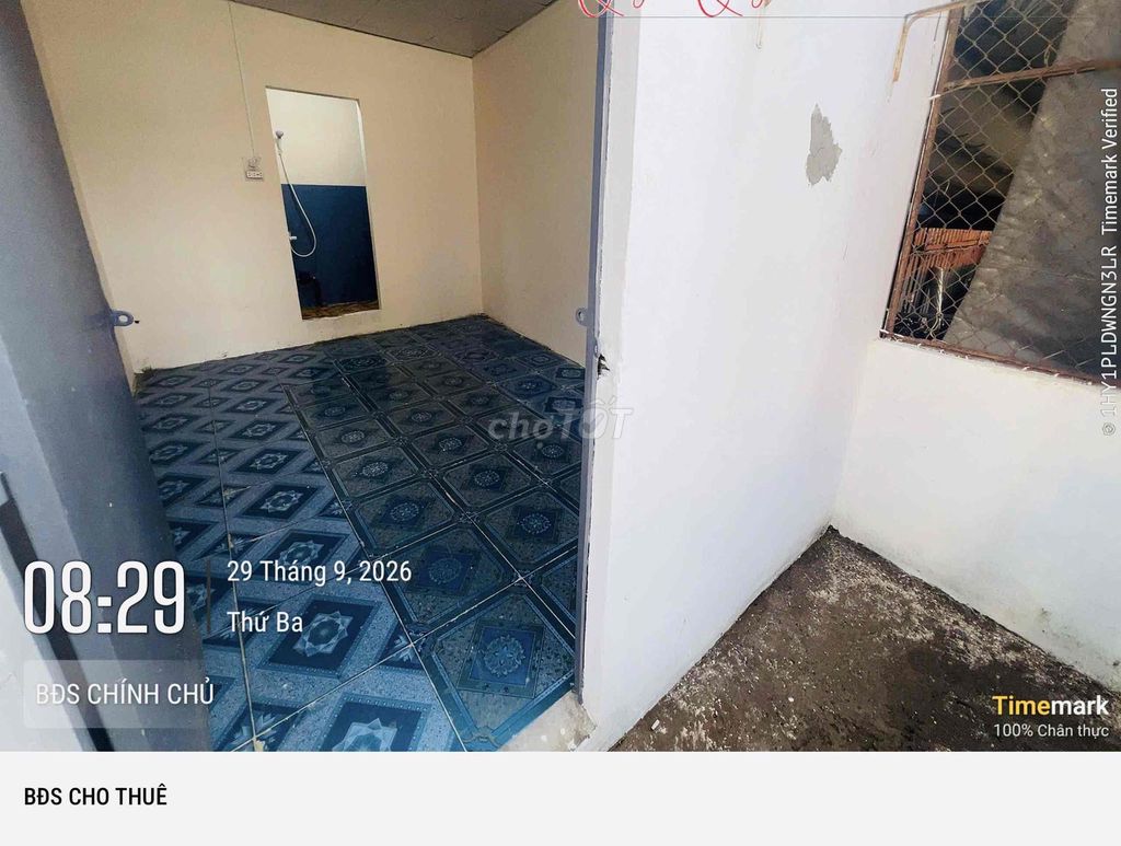 Move in, move in. Trần Đại Nghĩa.