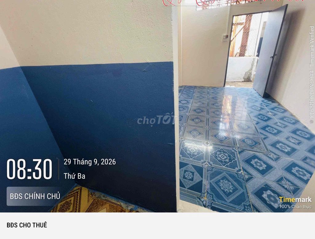 Move in, move in. Trần Đại Nghĩa.