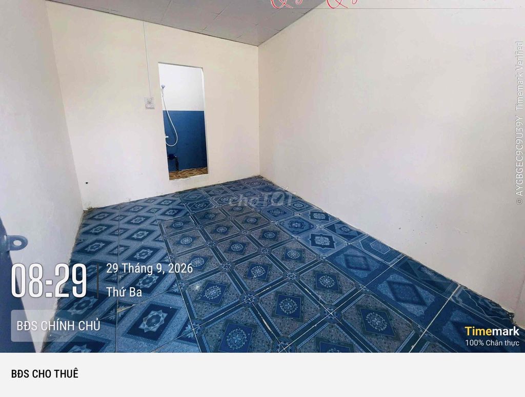 Move in, move in. Trần Đại Nghĩa.