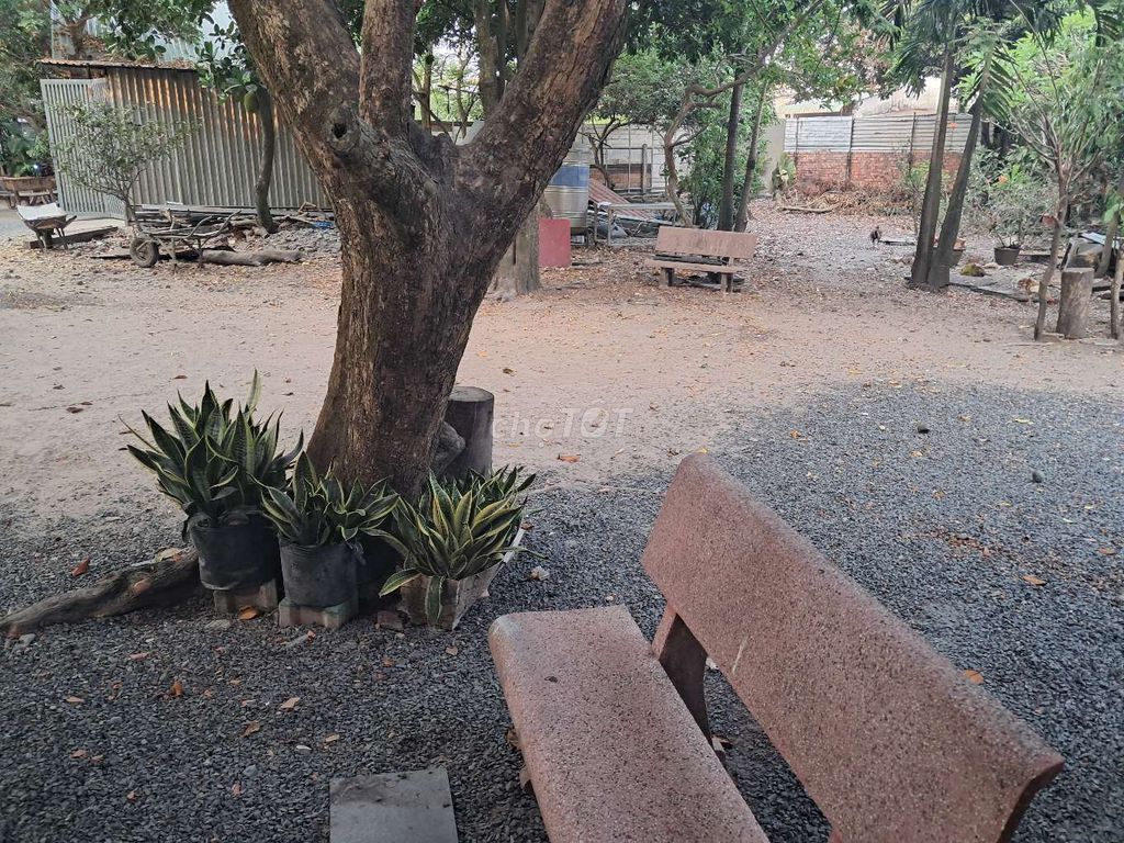 Rent the whole room, 30 meters, have a toilet in the room.