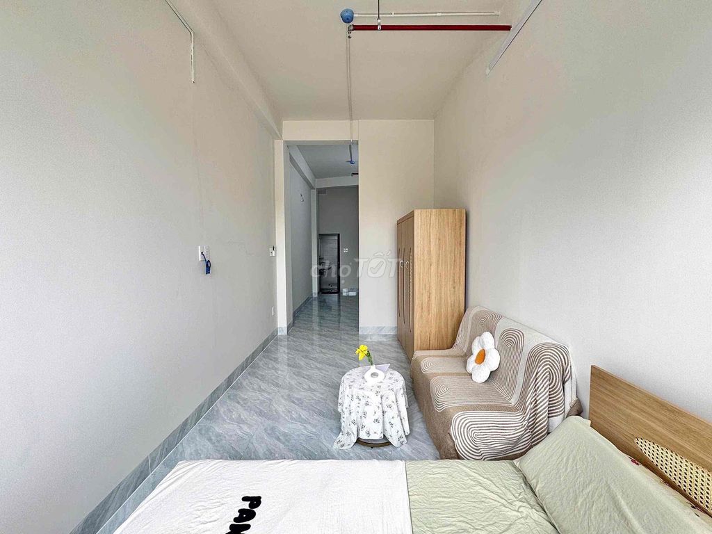 The owner of the new house - 20 P studio