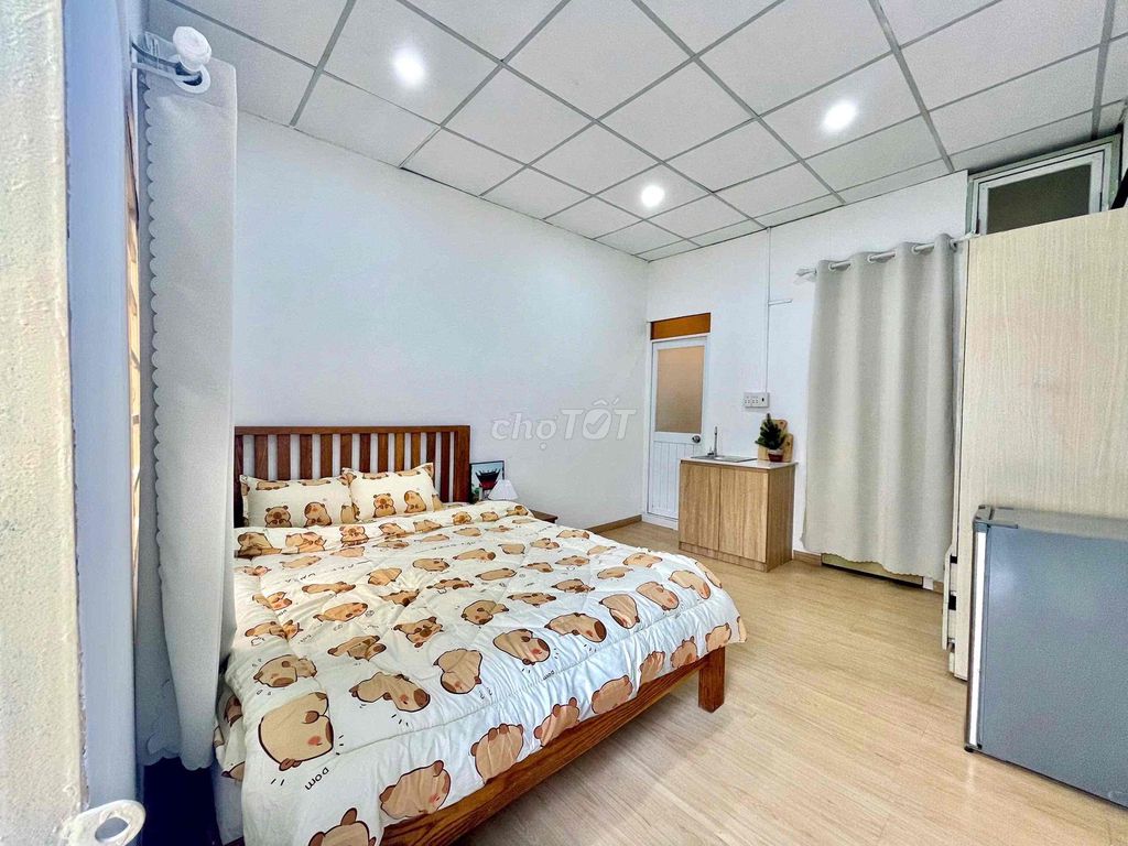 Opening a low-priced mini-local flat right on the Hoàng Sa county 3-09.