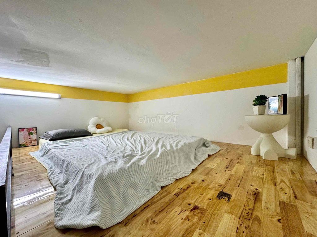 Rent a student room right near the war field.