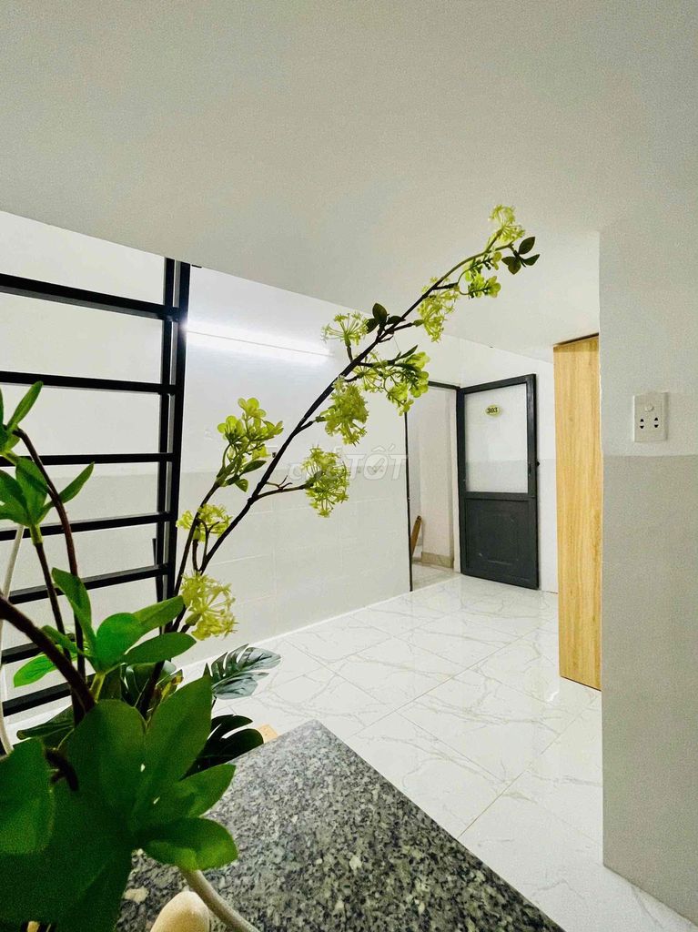 The apartment is open at the University of Family.