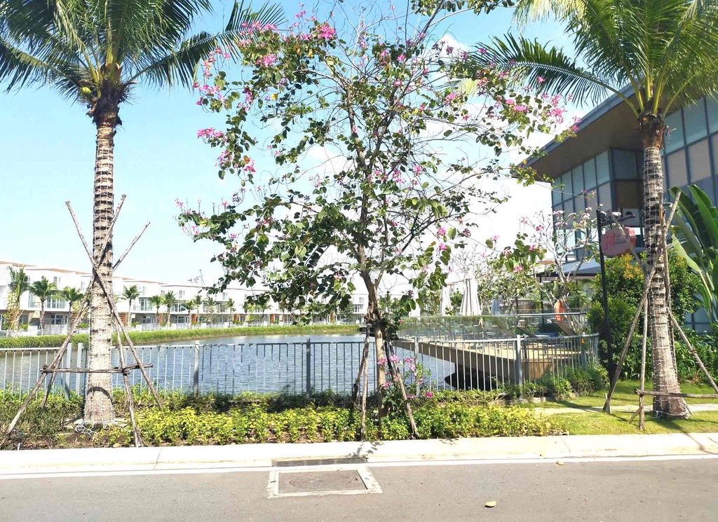 Rent an apartment for dv in Dragon Village
