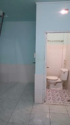 Rent room near mango tree market