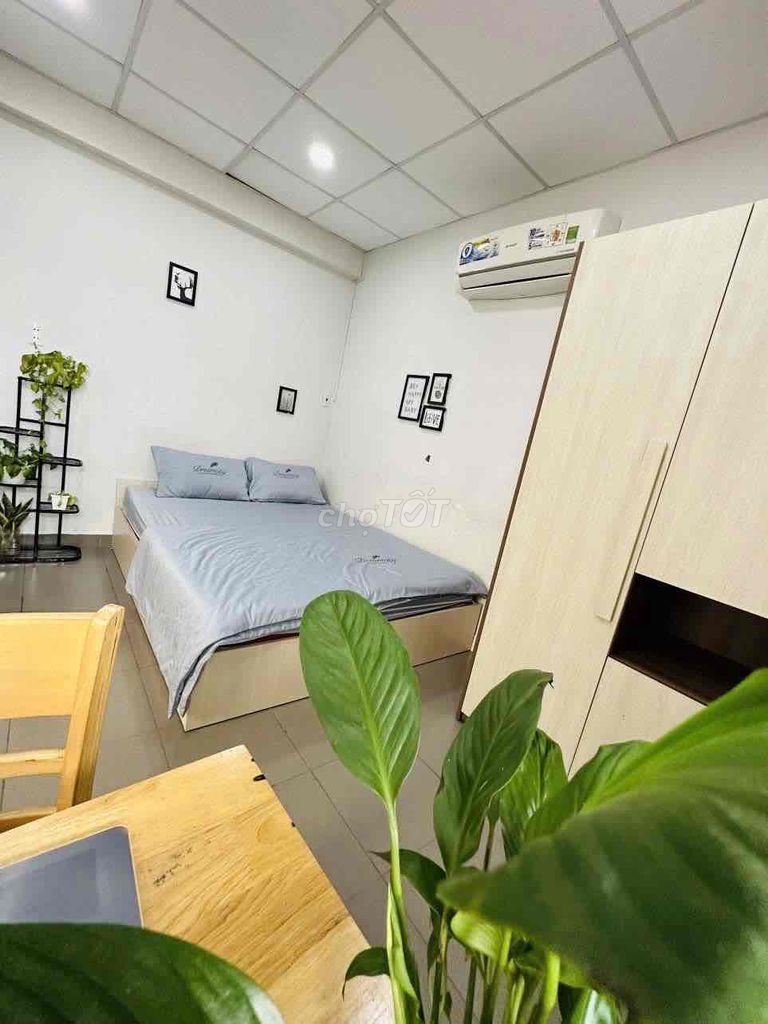 Rent a skylight studio right at the University of Industrial Engineering.