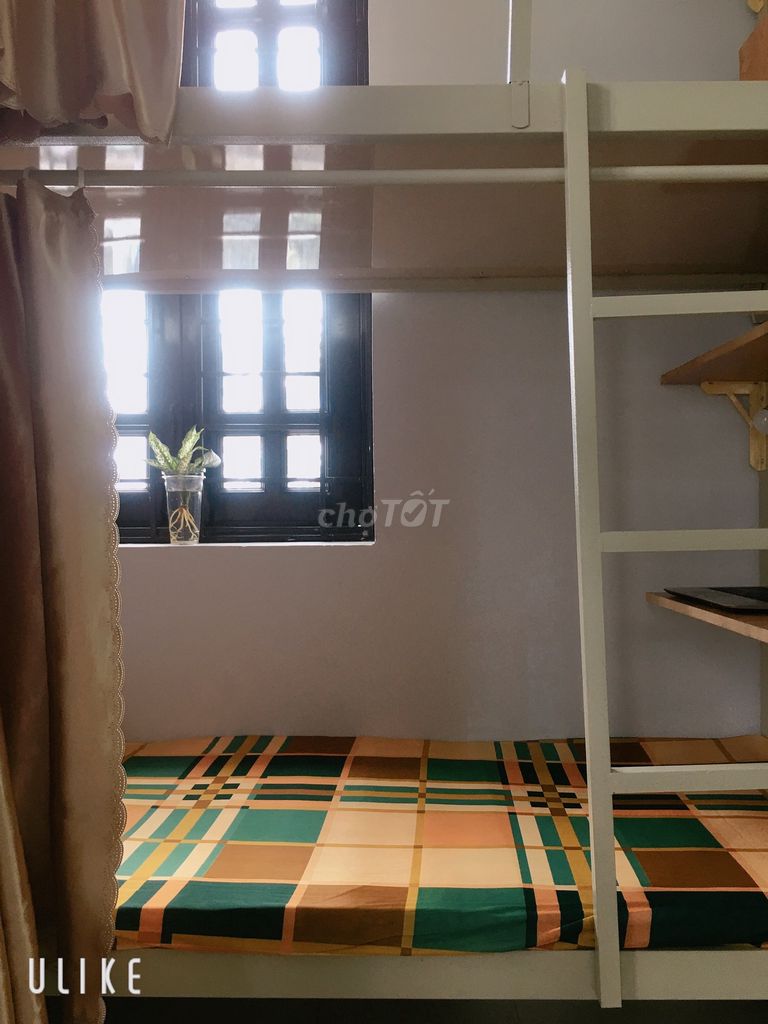 dorm full interior/ air-cold/ low-cost - all costs