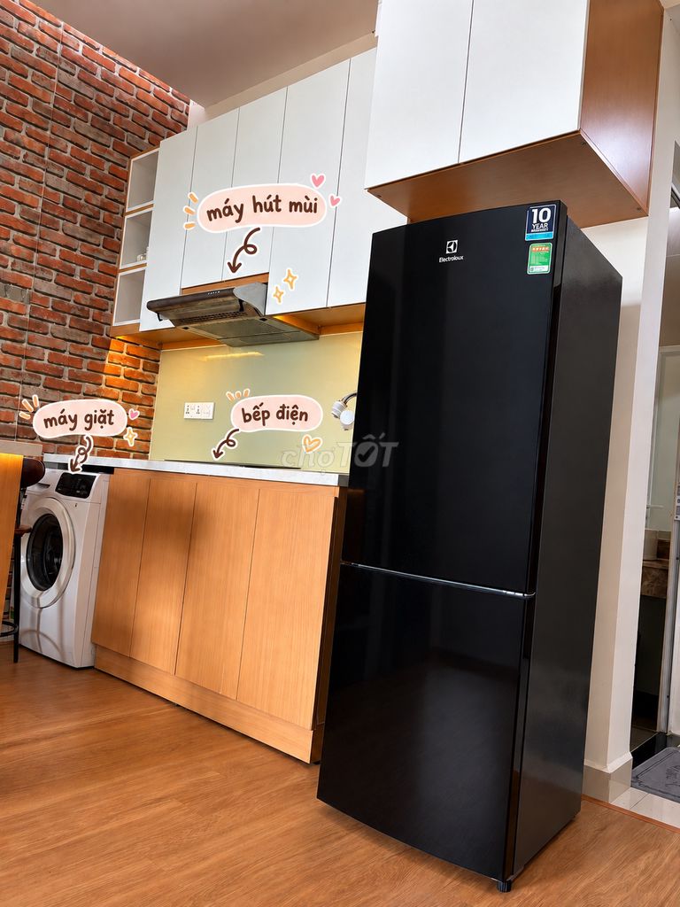Rent the studio apartment Golden King in front of the American center.