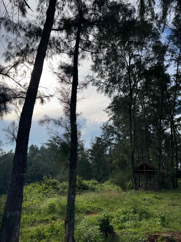 Search Trần Quang Khải area, Tân Định radius 10 km