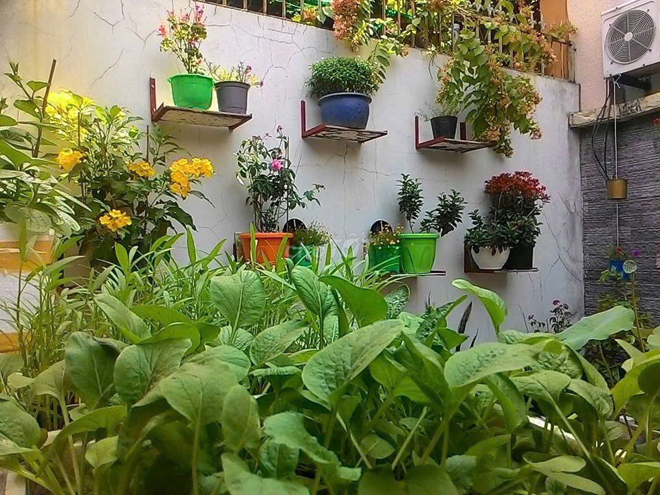 The entire Nguyễn Văn Khối Gò Vấp interior room!