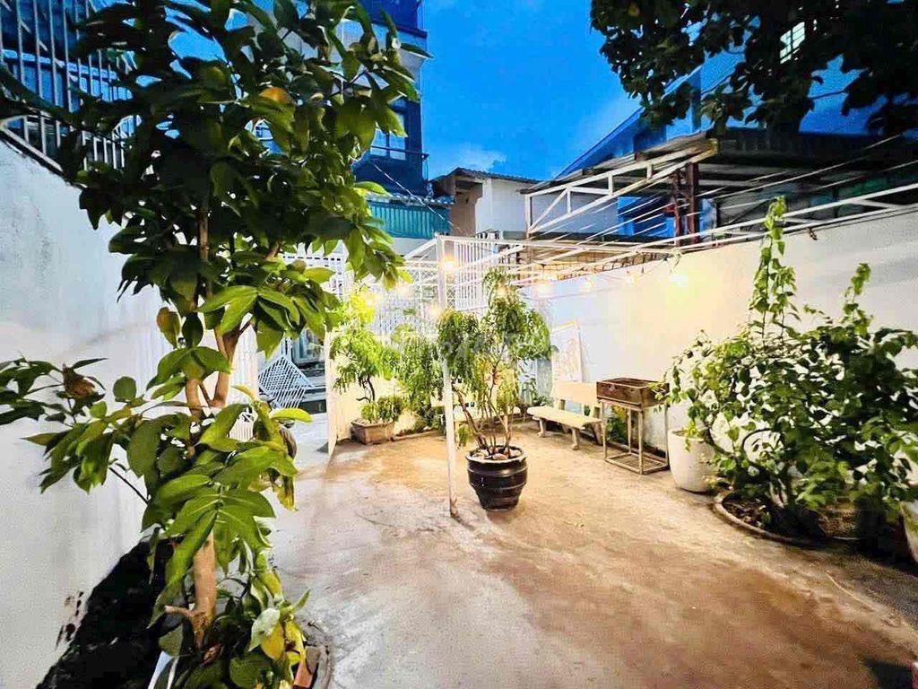 Level 4 has dog fields and plants.