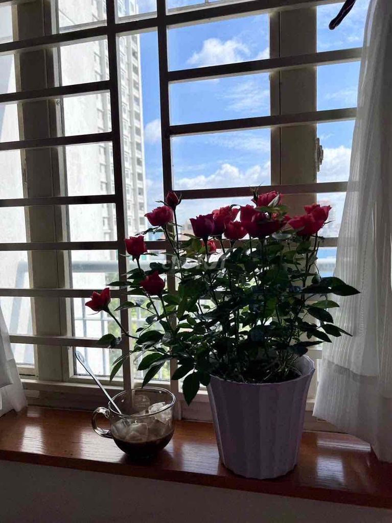 Rent their apartment. 65 meters. Two bedrooms.