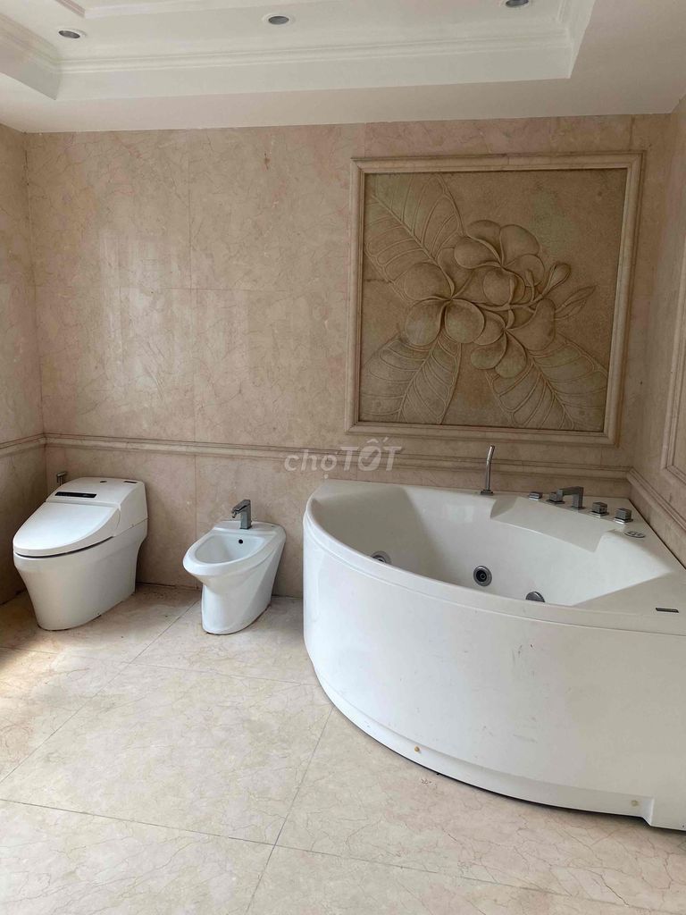 Rent a villa. Tân Sơn Nhì.