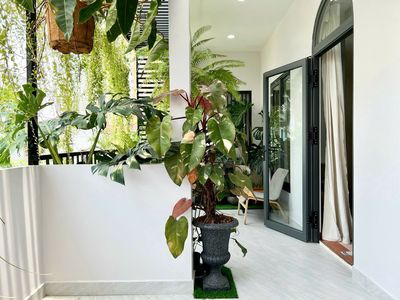 Rent apartment high-level chill balcony - lots of green trees