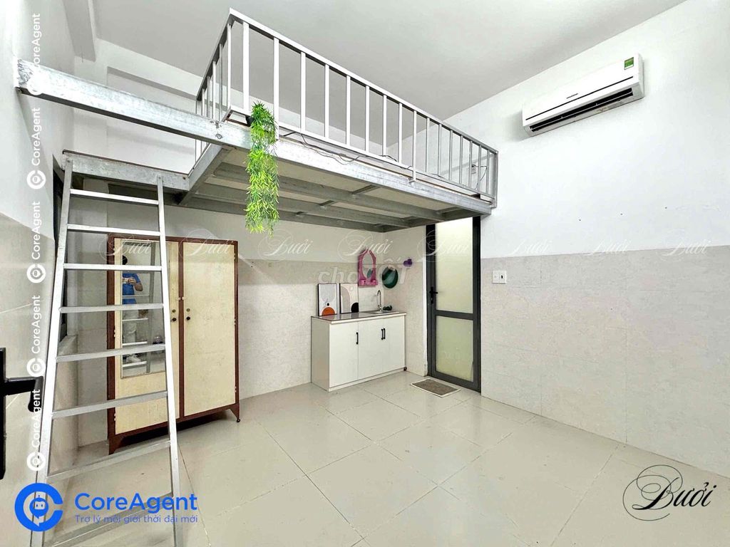 Rent the Room for Home Room in New Year's Market, Tân Phú