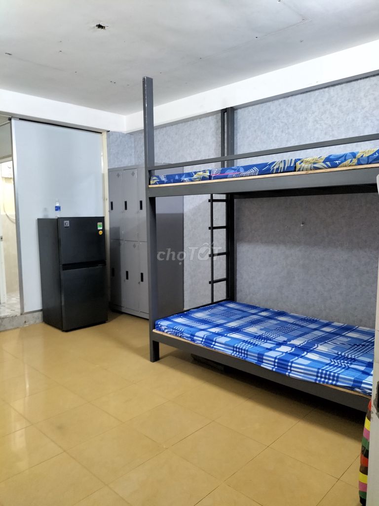 Master Full's Home Office, next to the Constitutional University, near the House of Deposed,