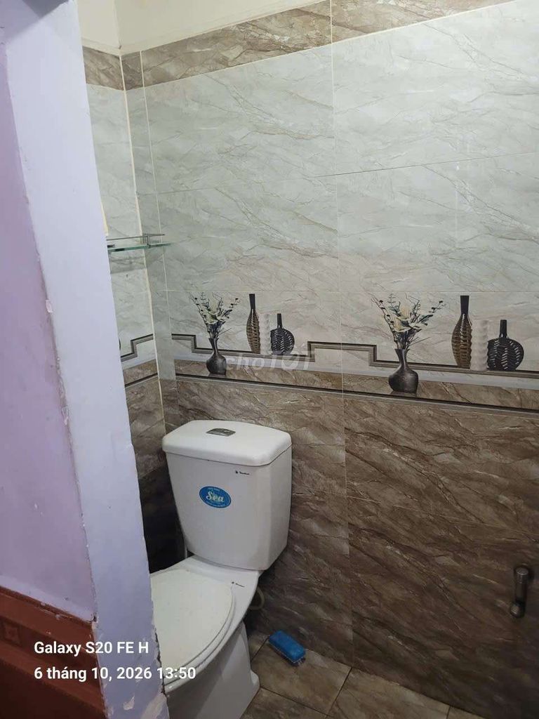 Rent a house. One floor. Two floors. A bathroom.