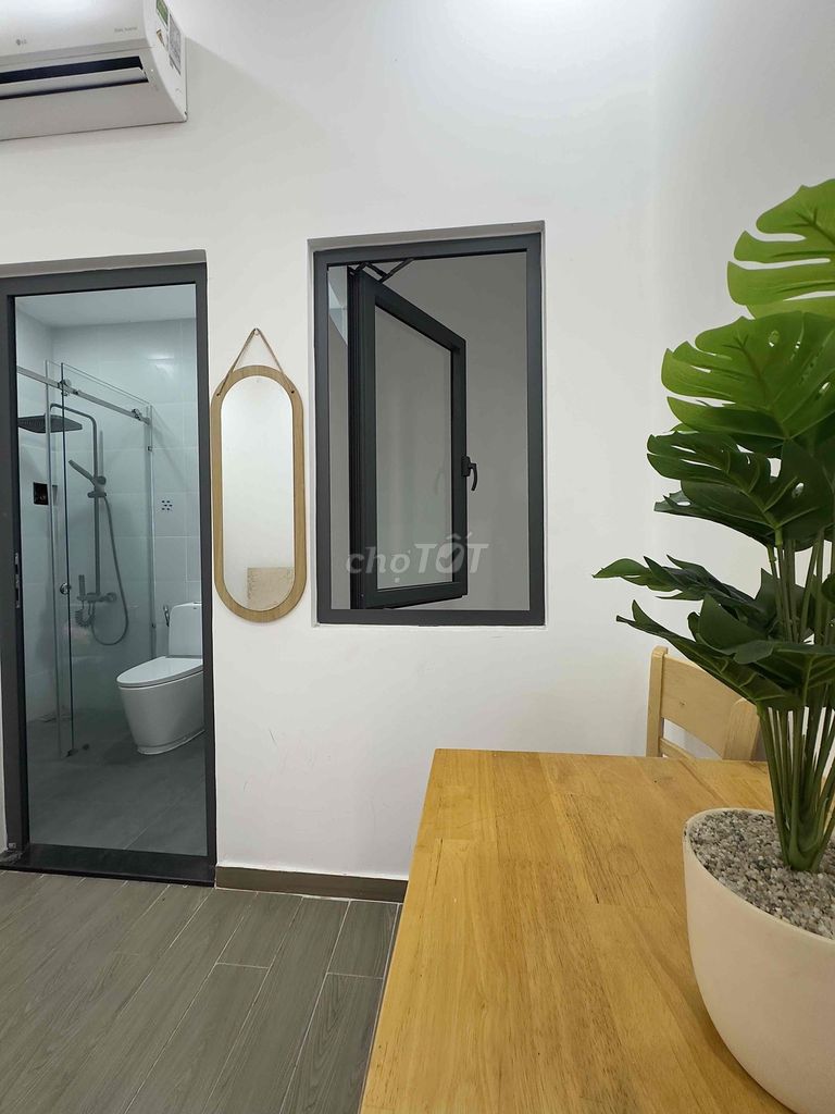 Hire Studio Board of Tan Sons of the Tantage Bay.