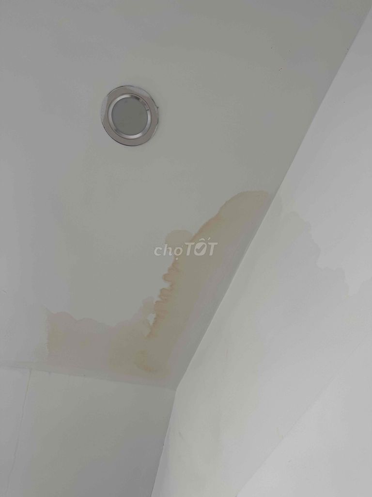 rented apartment